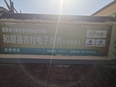 天井村电商服务站