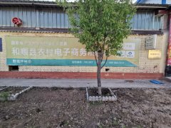 野狐坪村电商服务站