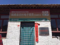 乐义村电商服务站