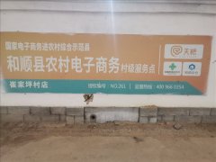 崔家坪村电商服务站